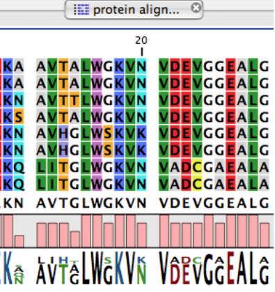 allineamento di sequenze proteiche